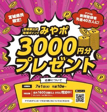 みやぎポイント チラシ