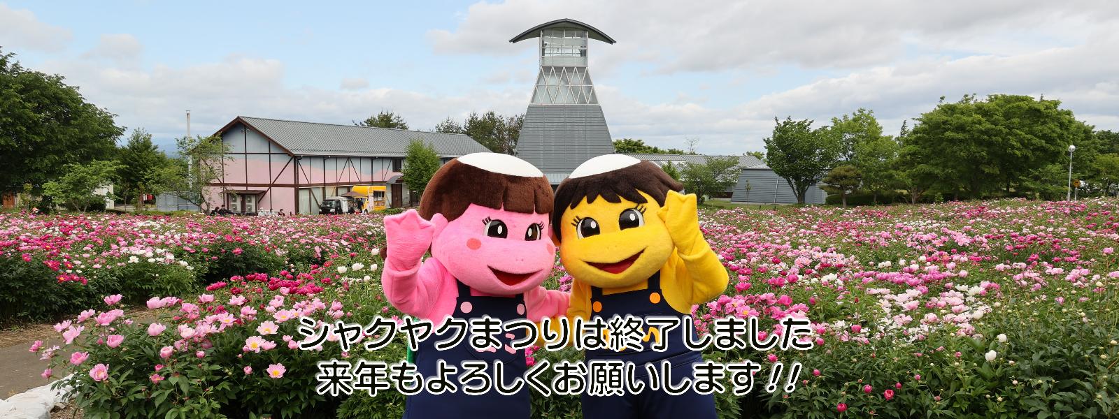 シャクヤクまつり