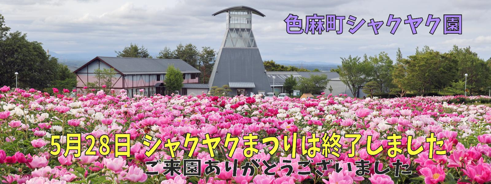 シャクヤク園