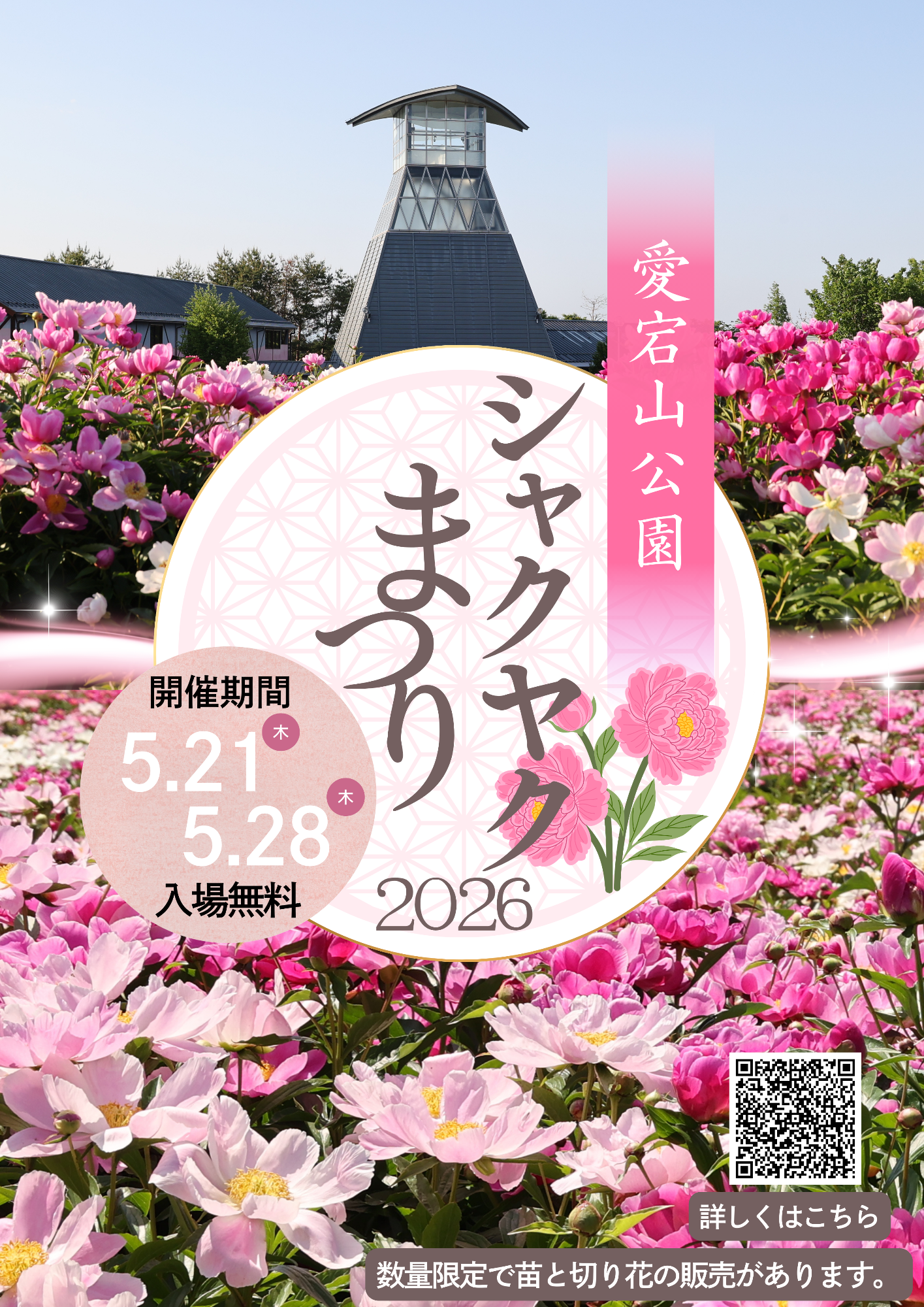 しゃくやくまつり